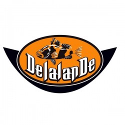 Logo Delalande
