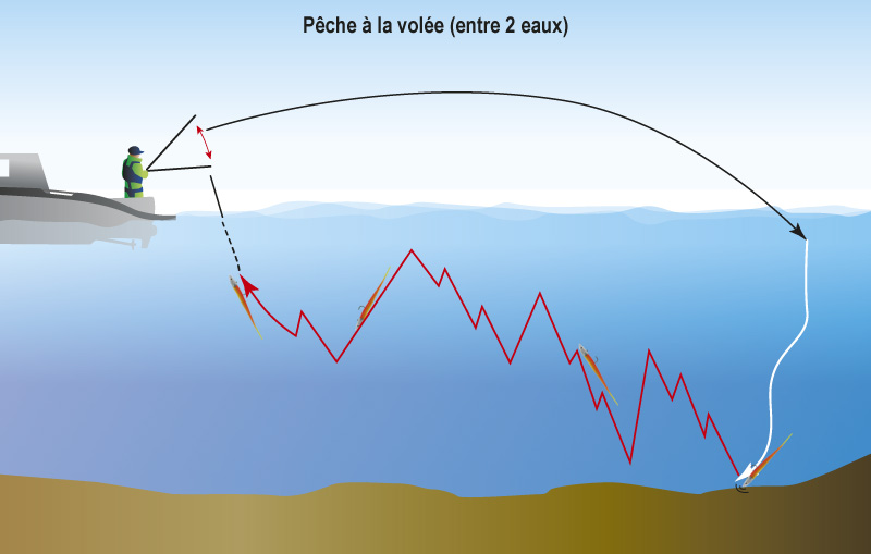 Illustration technique de la pêche à la volée.
